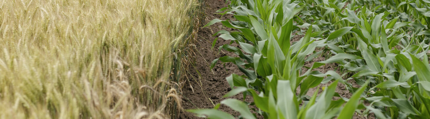 irrigation-systems-consultation-img
